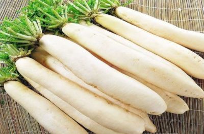 hạt giống củ cải trắng chất lượng