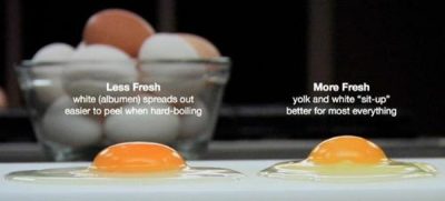 kiểm tra độ mới của trứng bằng đập trứng
