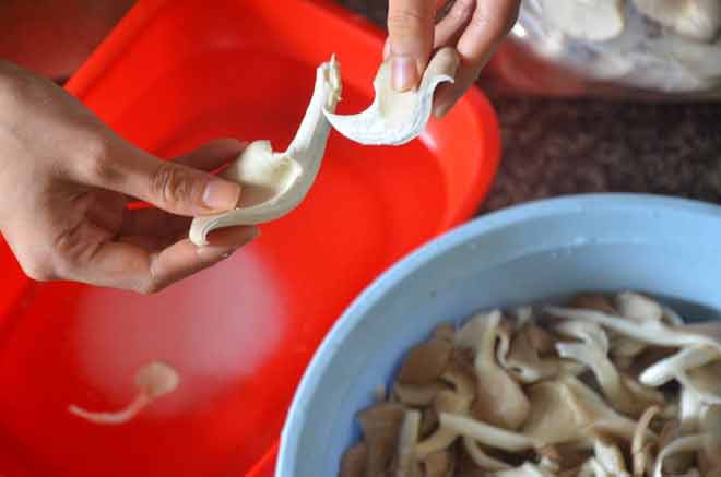 Cách rửa nấm sò trắng