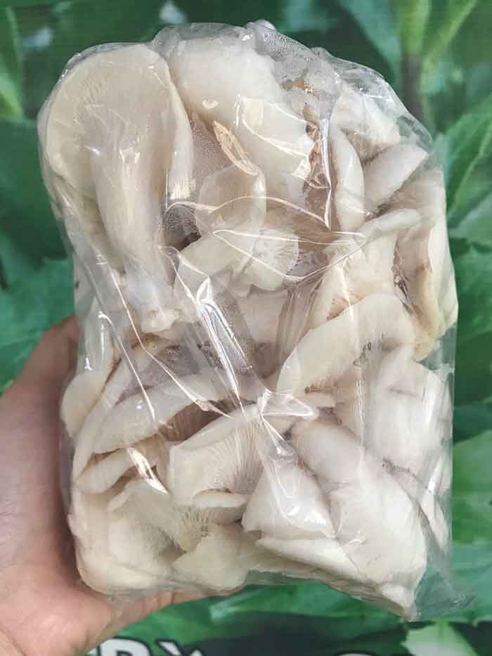 Hình ảnh bao bì sản phẩm nấm sò trắng đóng gói 500gr