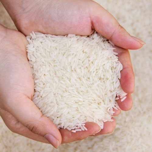 NHững hạt gạo thơm chất lượng