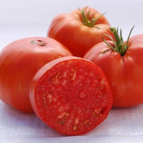 chữa bệnh cà chua beff