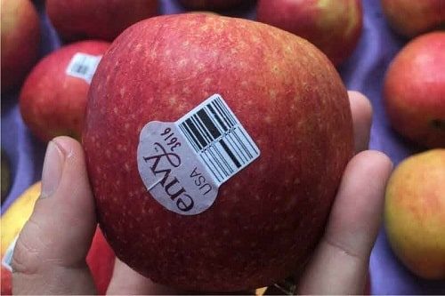 Táo envy là một trong số các loại táo nhập khẩu chất lượng cao