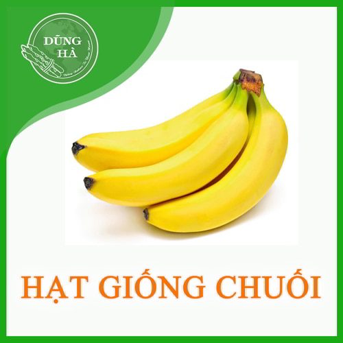 Hat giong chuoi
