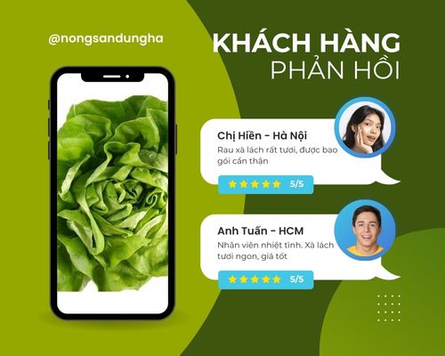 khach-phan-hoi